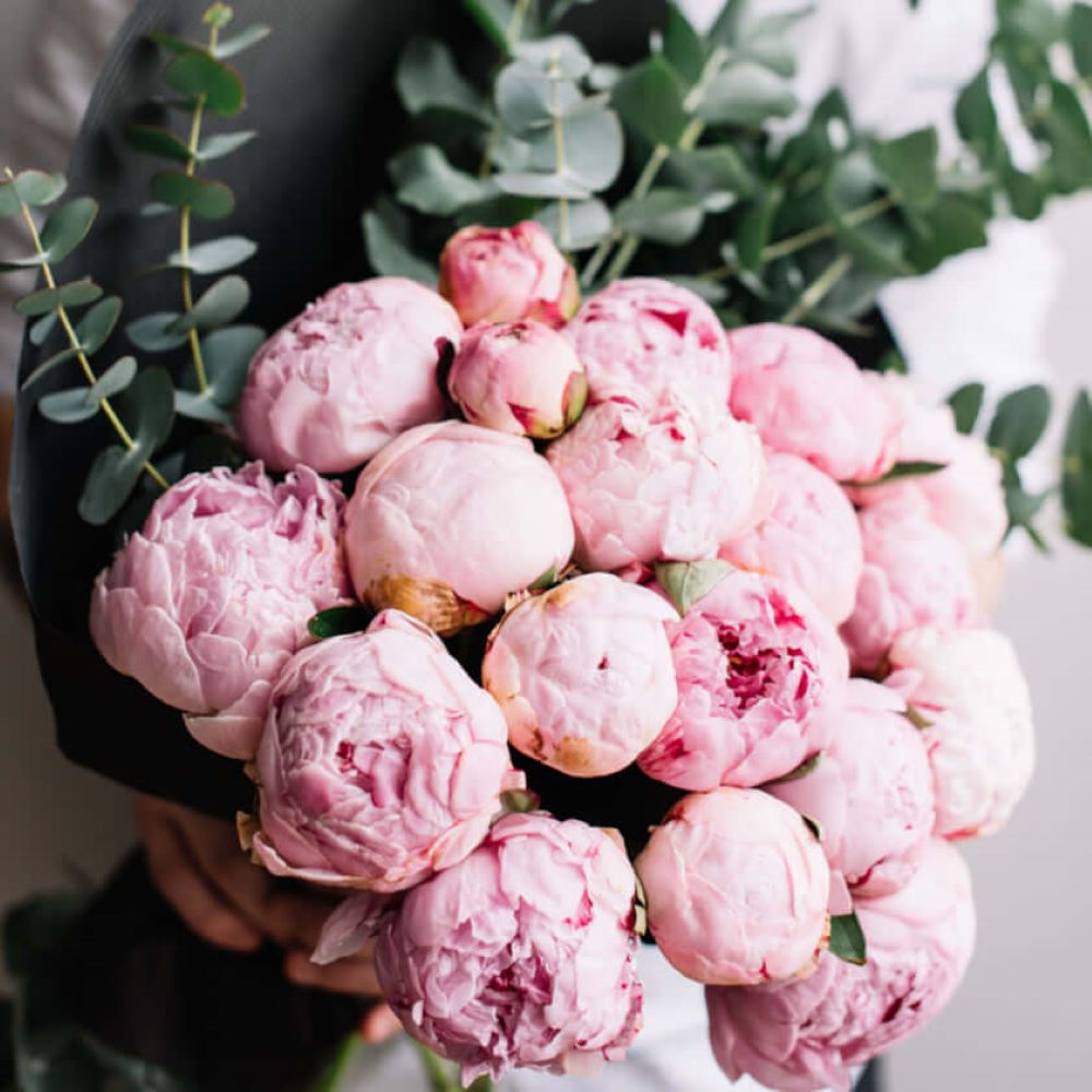 America Blooms Flower Delivery - America Blooms Flower Gifts 