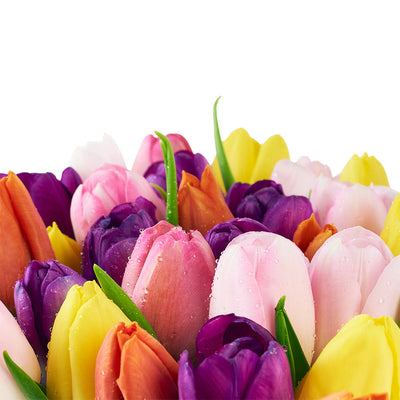 Spring Fling Tulip Arrangement, Floral Gift Box from America Blooms - America Delivery.