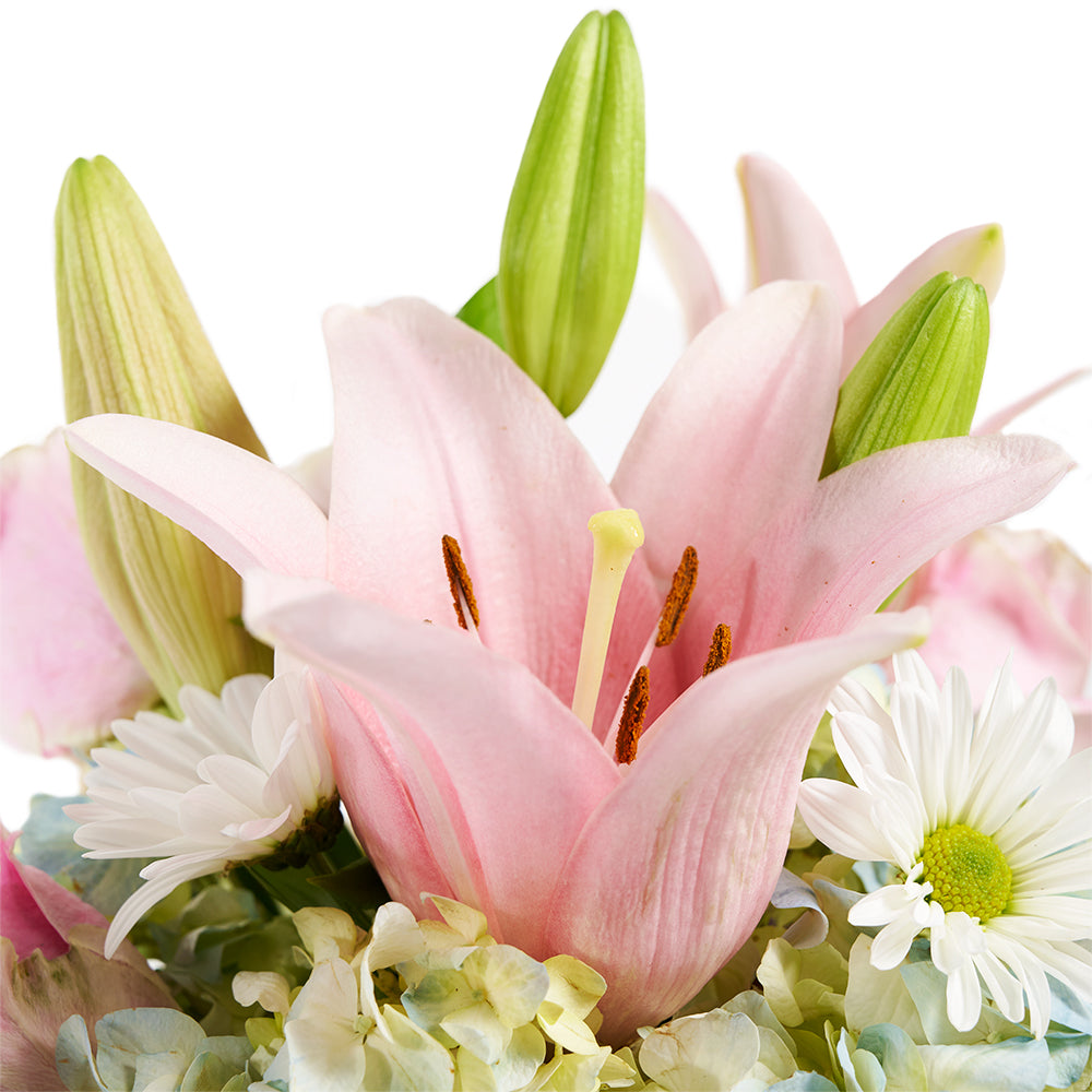  Spring Forth Mixed Floral Gift - Mixed Floral Arrangement Hat Box - Blooms America Delivery