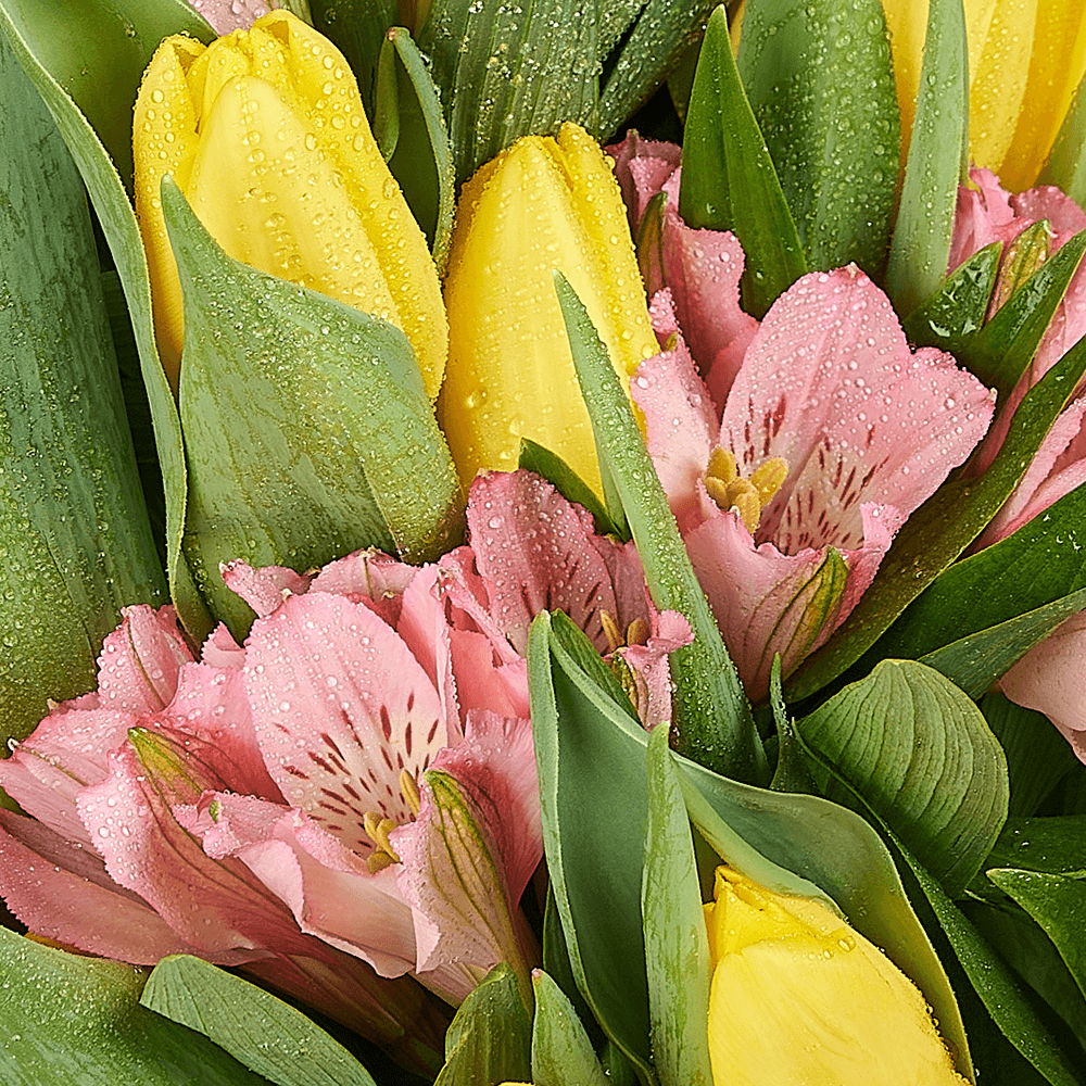 Spring Radiance Mixed Bouquet, tulip gift, tulips, flower gift, flower, seasonal flower gift, seasonal flower, America delivery