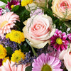 Striking Mixed Garden Arrangement, gift baskets, floral gifts, mother’s day gifts Blooms America Delivery