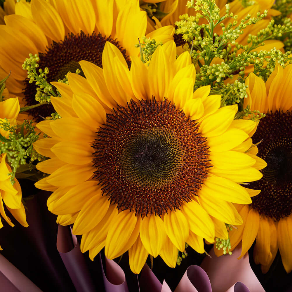 Fresh Sunflower and Solidago Floral Bouquet – how the gift is presented
