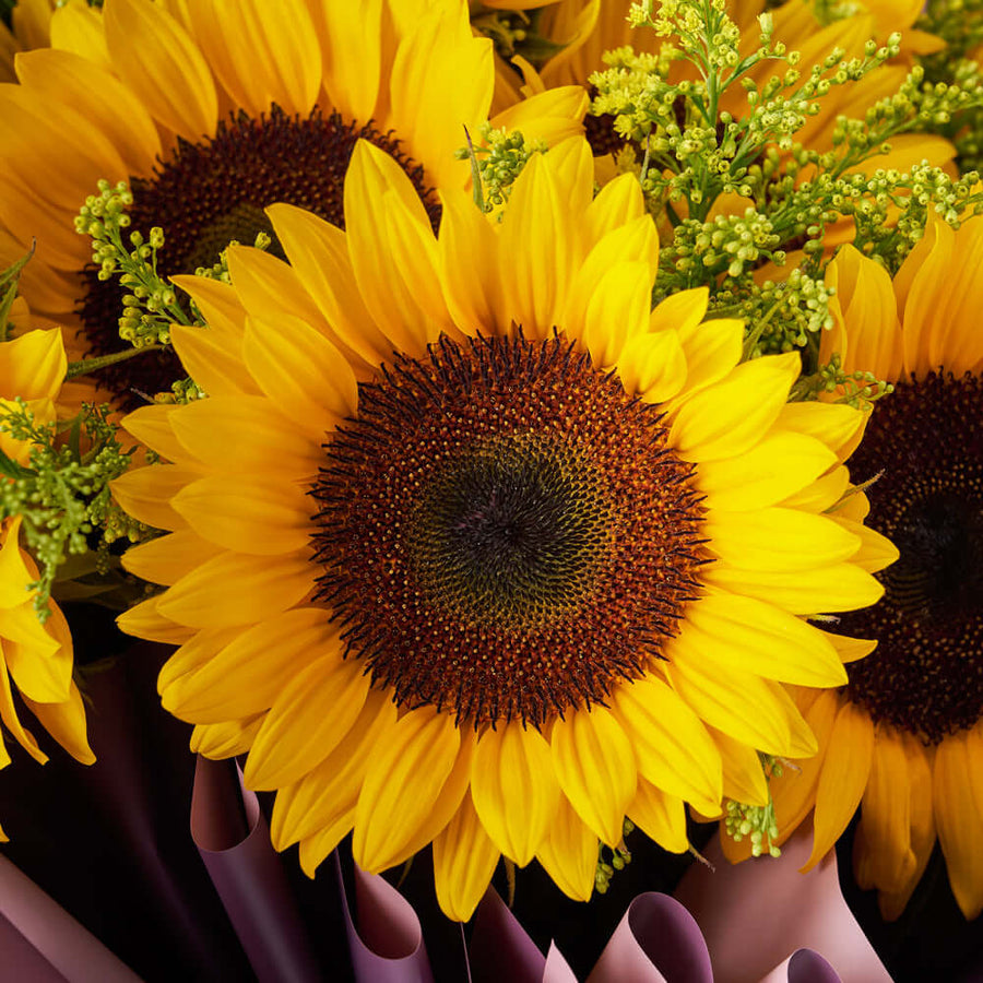 Summer Glory Sunflower Bouquet, from America Blooms - Same Day America Delivery.