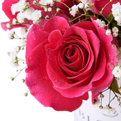 Tender Pink Rose Gift, gift baskets, floral gifts, mother’s day gifts Blooms America Delivery