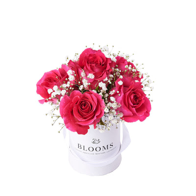 Tender Pink Rose Gift, gift baskets, floral gifts, mother’s day gifts America Blooms Delivery