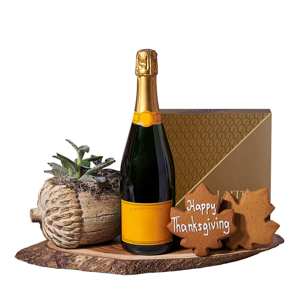 Thanksgiving Champagne &amp; Succulent Gift, sparkling wine gift, sparkling wine, champagne gift, champagne, plant gift, plant, thanksgiving gift, thanksgiving. America Blooms -America Blooms Delivery