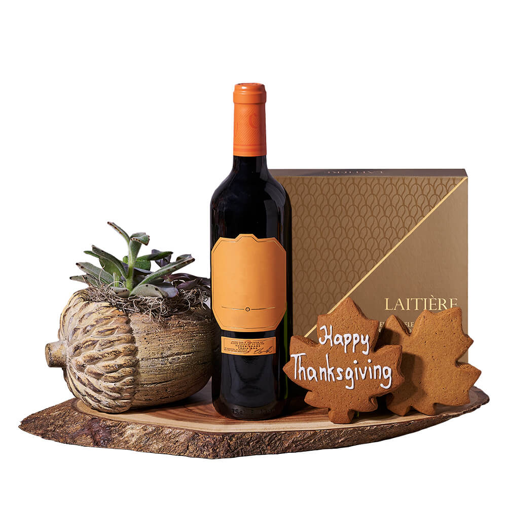 Thanksgiving Wine &amp; Succulent Gift, wine gift, wine, thanksgiving gift, thanksgiving, plant gift, plant, gourmet gift, gourmet. America Blooms-America Blooms Delivery