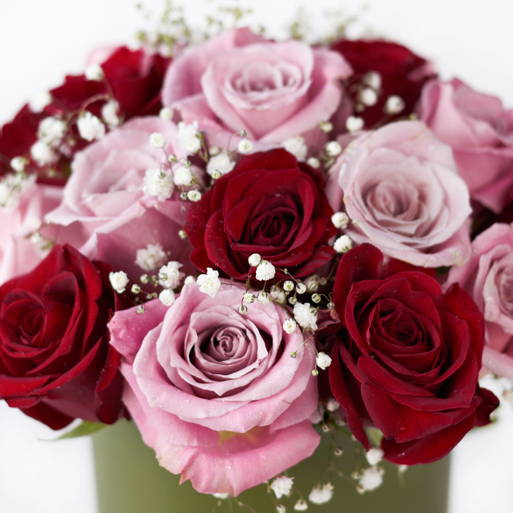 Elegant Rose Duo Arrangement, Mixed Roses from America Blooms - America Delivery.