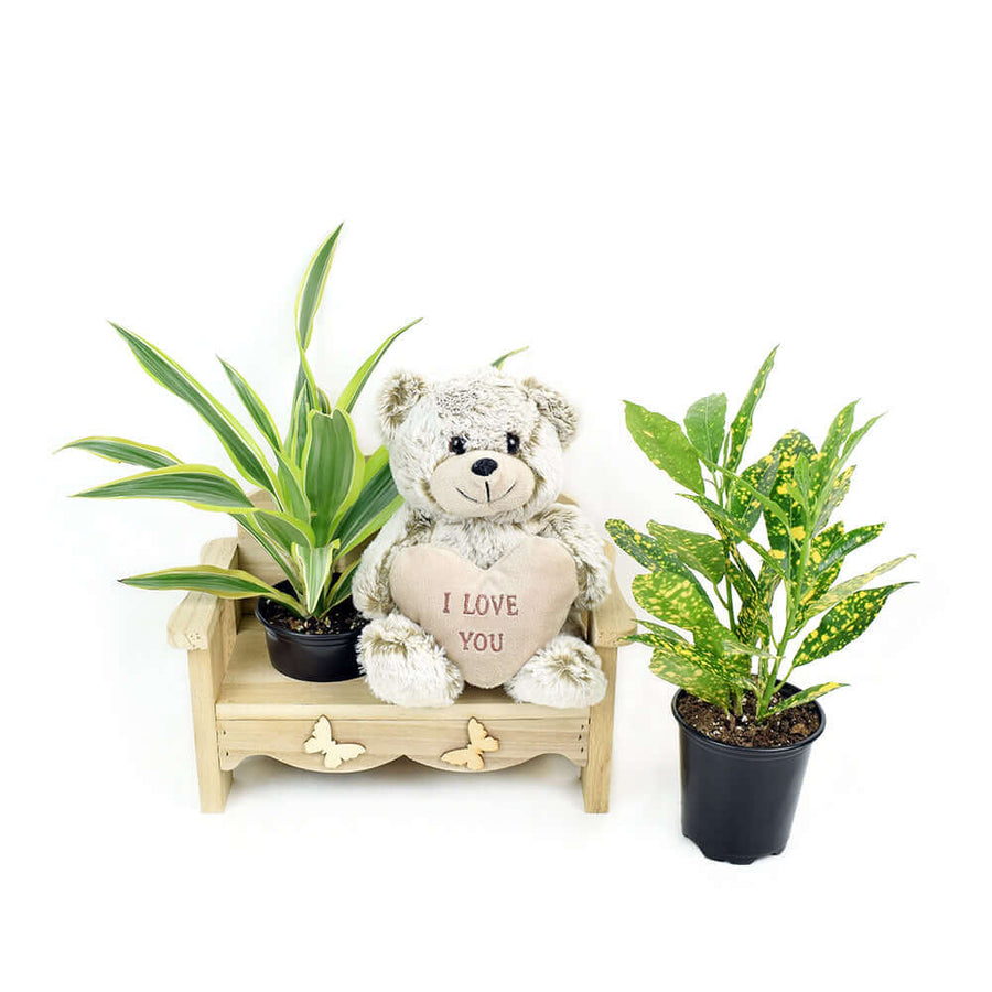 Gardener's chair potted plant arrangement with bear, from America Blooms - America Delivery.