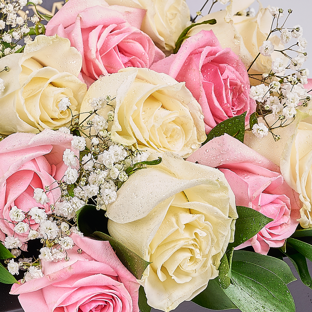 Valentine's Day 12 Stem Pink & White Rose Bouquet With Box & Bear, rose gift, rose, valentines day gift, valentines day, plush gift, plush, bear gift, bear, America delivery