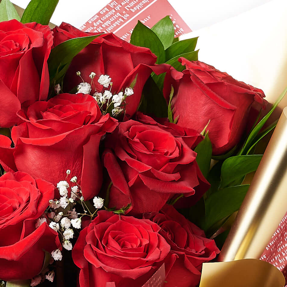 Valentine's Day 12 Stem Red Rose Bouquet With Box & Bear, plush, roses, Valentine's day gifts, Blooms America Flower Delivery
