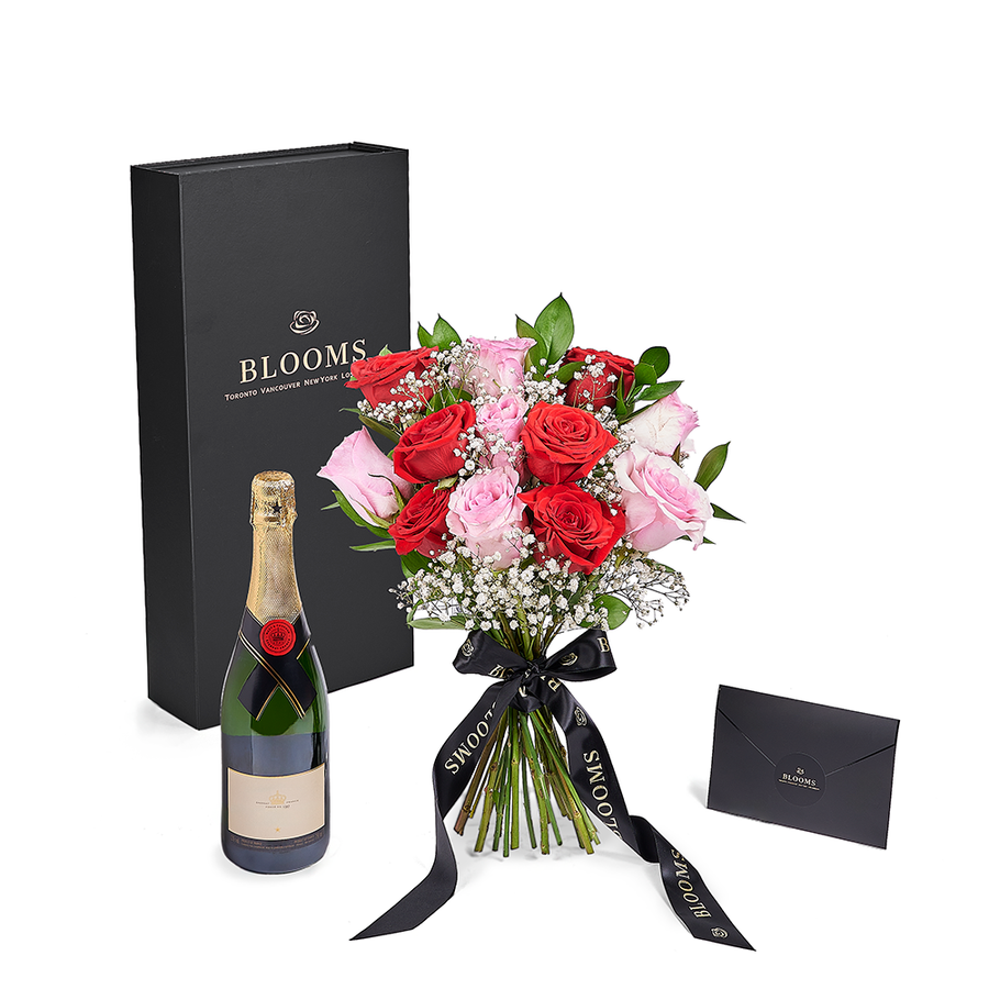 Valentine’s Day 12 Stem Red & Pink Rose Bouquet With Box & Champagne, America Blooms Flower Delivery, Valentine's Day gifts, roses