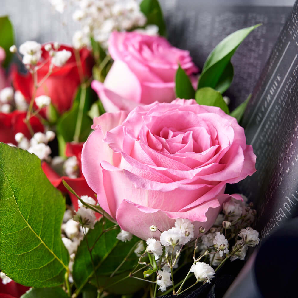 Valentine’s Day 12 Stem Red & Pink Rose Bouquet With Box & Champagne, Blooms America Flower Delivery, Valentine's Day gifts, roses