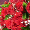 Valentine's Day 24 Red Roses Bouquet, roses, Valentine's day gifts, Blooms America Flower Delivery