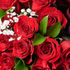 Valentine's Day 36 Red Roses Bouquet from Blooms America, give your sweetheart the gift they have been waiting for this Valentine’s Day. Delivery