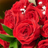 Valentine's Day Dozen Red Roses Bouquet, Blooms America Same Day Flowers Delivery, Valentine's Day gifts