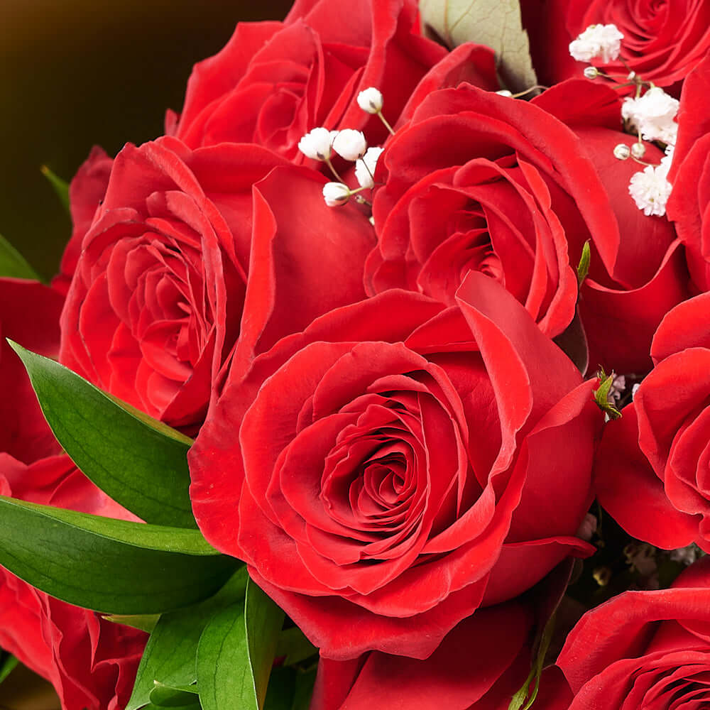 Valentine's Day Dozen Red Roses Bouquet, Blooms America Same Day Flowers Delivery, Valentine's Day gifts