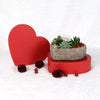 Valentine's Day Heart Succulent Trio, America Blooms Delivery