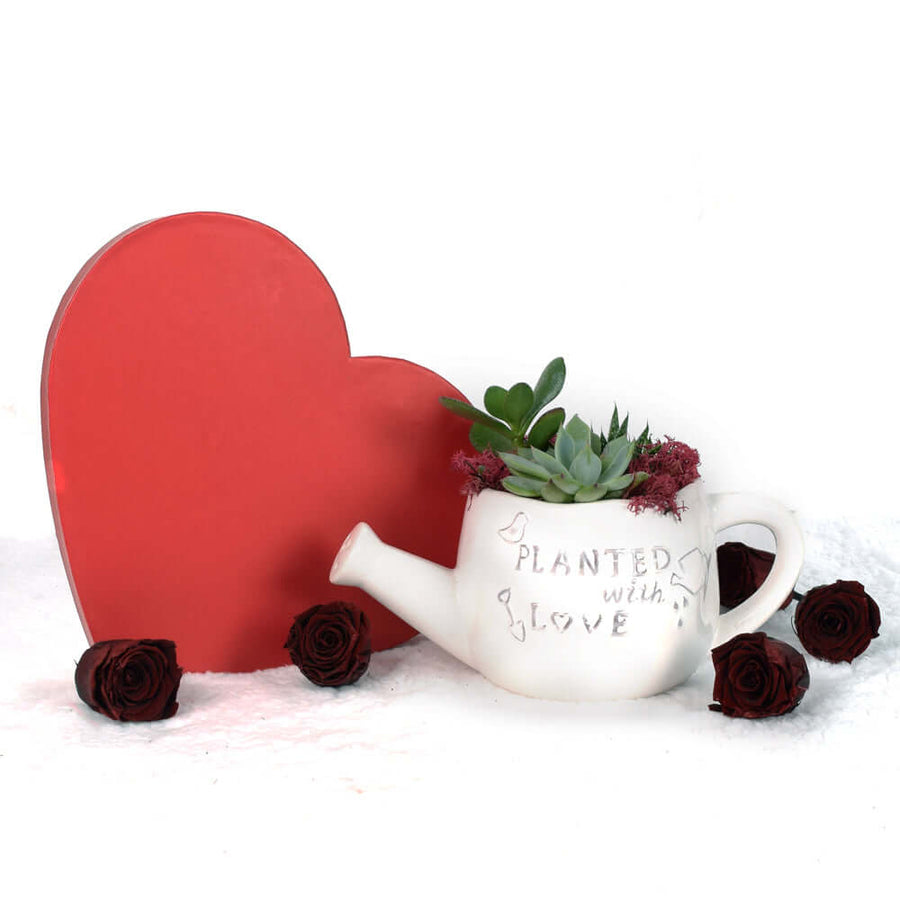 Valentine's Day Planted With Love Succulent Trio - America Delivery
