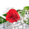 Valentine's Day Single Red Rose, America Blooms Delivery