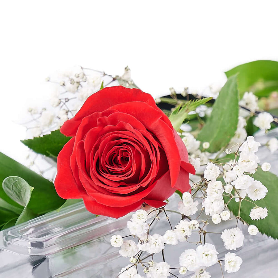 Valentine's Day Single Red Rose, Blooms America Delivery