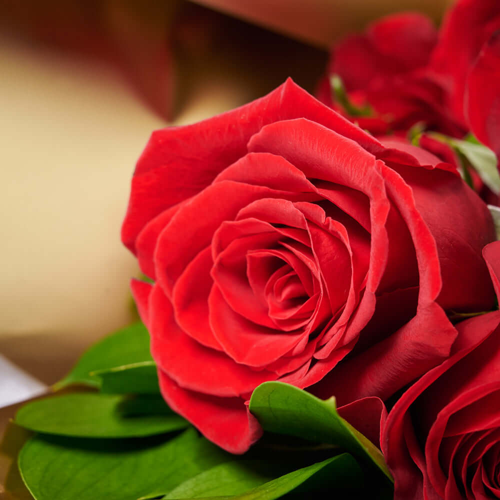 Valentine's Day 18 Stem Red Roses With Chocolate & Wine, Blooms America Flower Delivery