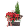 Christmas, Holiday, Mix Floral Arrangement, Floral Arrangement, Holiday Arrangement delivery, America Blooms Delivery
