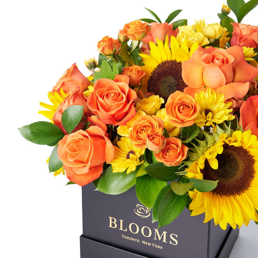 You Are My Sunshine Sunflower Box Gift, assorted mixed flowers gift from America Blooms - America Delivery.