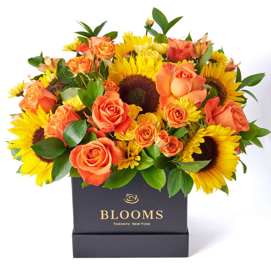 You Are My Sunshine Sunflower Box Gift, assorted mixed flowers gift from America Blooms - America Delivery.