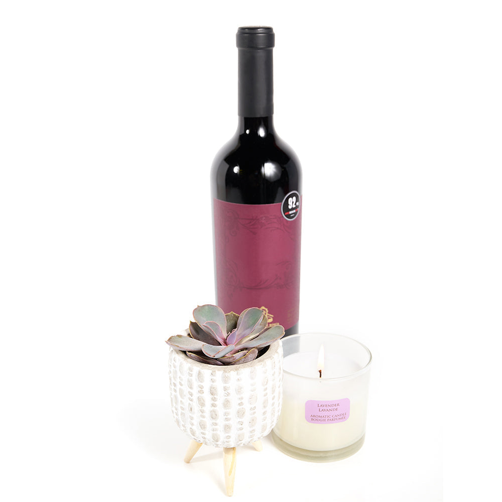 You're Special Plant &amp; Wine Gift - Wine Gift Set - America Blooms Delivery