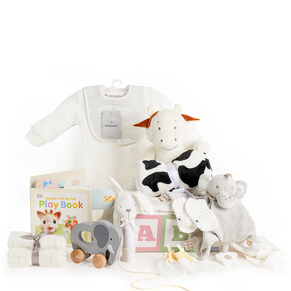 ABC Baby Gift Basket, Baby Gifts from America Blooms - America Delivery.