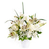 Alabaster Mixed Lily Arrangement – Lily Gifts – Blooms America delivery