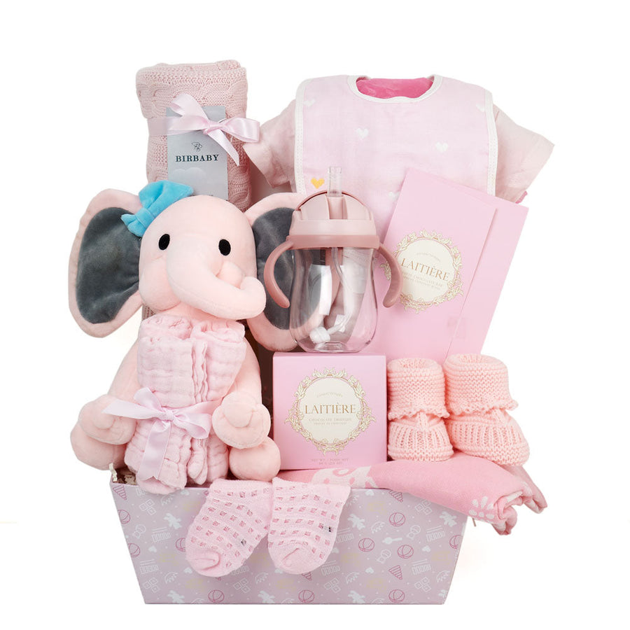 Baby Girl Plush Gift Basket, Baby Shower Gift Set from America Blooms - America Delivery.
