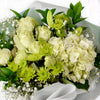 Blossoming Sunrise Mixed bouquet in white and cream. Blooms America Delivery.