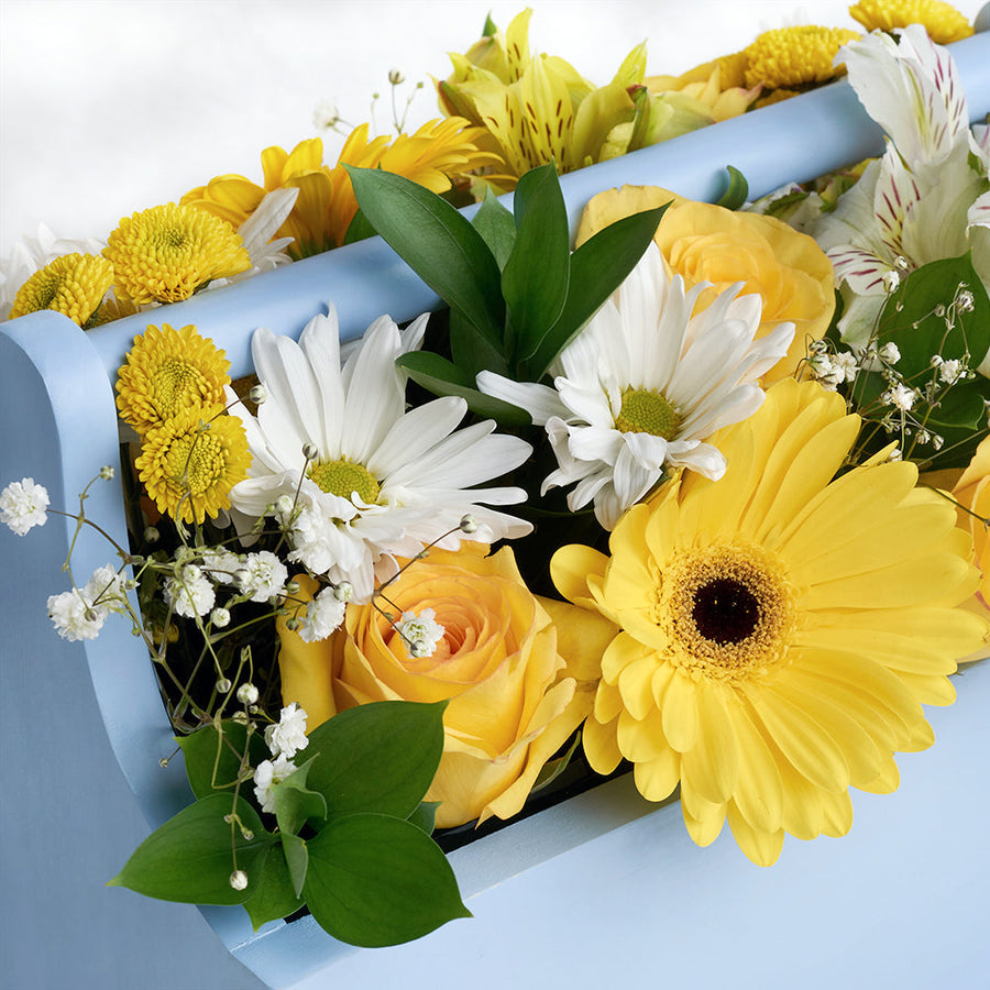Blue Garden Box Arrangement, Yellow and white mixed floral arrangement in a blue toolbox, from America Blooms - America Delivery.