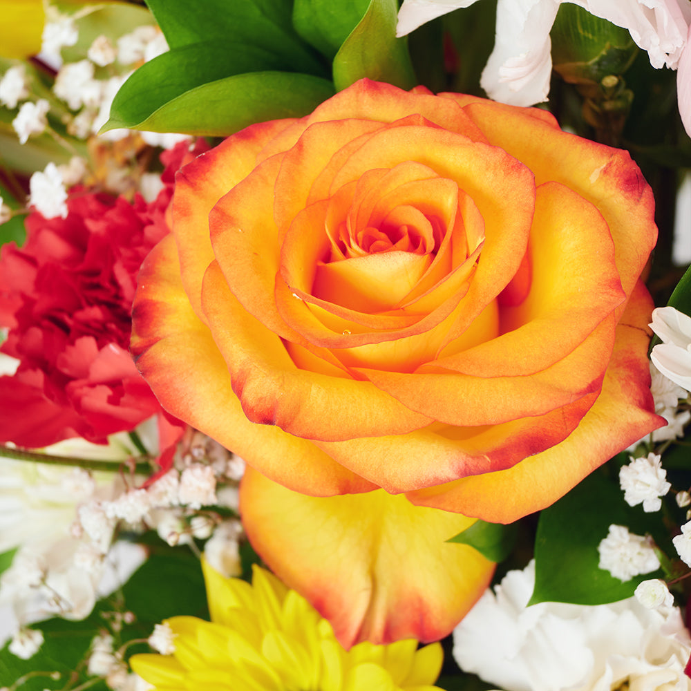 Bountiful Mixed Rose Arrangement – Floral Gifts – Blooms America delivery 