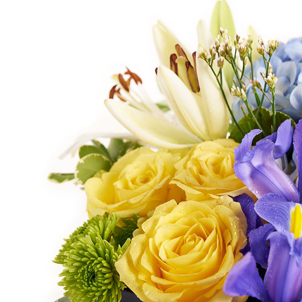 Bursting Beauty Iris Box Arrangement, Iris and mixed floral box arrangement from America Blooms - America Delivery.