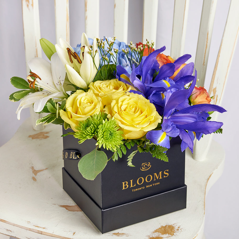 Bursting Beauty Iris Box Arrangement, Iris and mixed floral box arrangement from America Blooms - America Delivery.