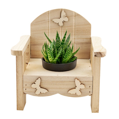 Butterfly Planter Chair Arrangement with a potted succulent from America Blooms - America Delivery.