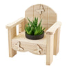Butterfly Planter Chair Arrangement with a potted succulent from America Blooms - America Delivery.