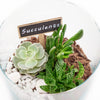 America Flower Delivery - America Flower Gifts - Plant Gifts - Terrarium