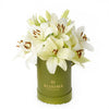Cornsilk Surprise Lilies Box Arrangement, from America Blooms - Same Day America Delivery.