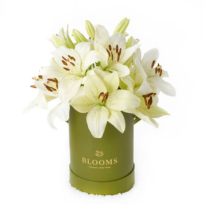 Cornsilk Surprise Lilies Box Arrangement, from America Blooms - Same Day America Delivery.