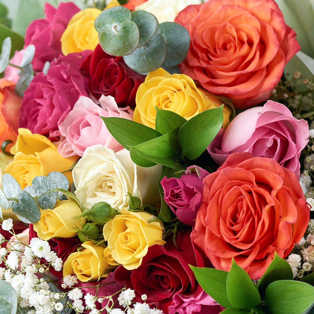 Daydream Fantasy Rose Bouquet Warm-toned mixed rose bouquet, from America Blooms - America Delivery.
