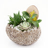 Easter Egg rock succulent arrangement. America Blooms-America Blooms Delivery
