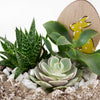 Easter Egg rock succulent arrangement. America Delivery