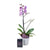 Floral Treasures Flowers & Chocolate Gift