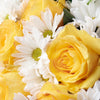 Floral Fantasy Daisy Bouquet - Floral Gift - America Delivery