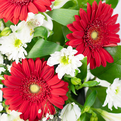Fresh As a Daisy Gift Box is a stunning flower box arrangement from Blooms America.