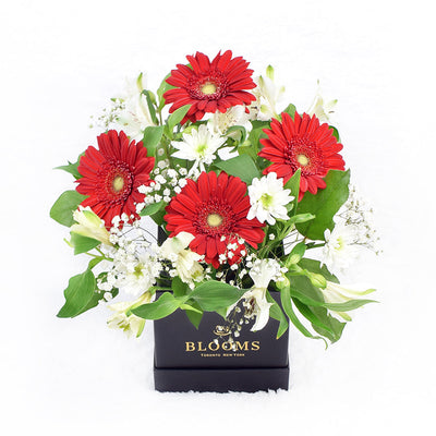 Fresh As a Daisy Gift Box is a stunning flower box arrangement from Blooms America-America Blooms Delivery